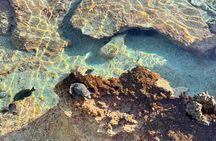 Excursion The Blue Lagoon and Reef Island
