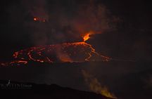Hawaii Volcano NP Private Tour: 4-Hour Park Immersion