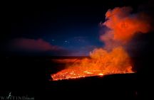 Hawaii Volcano NP Private Tour: 4-Hour Park Immersion
