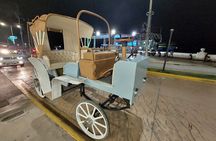 Cozumel's Heart Electric and Horse-drawn Carriage Tour 