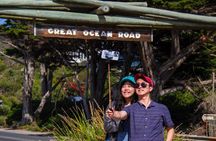 Great Ocean Road Small-Group Eco Tour from Melbourne