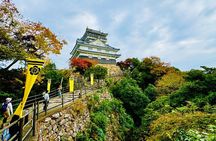 Gifu: Half Day Private Tour Castle, Great Buddha and Old Town