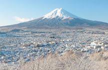 Horseback Archery Experience with Mt. Fuji Views