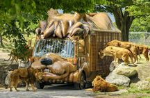 Fukuoka Day Trip to Yufuin, Beppu Hell Onsen and Animal Park