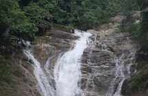 Cameron Highland Full Day Tour from KL City Private Tour