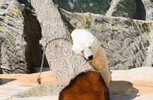 Prague Zoo Admission Ticket with Transfer and Audio Guide