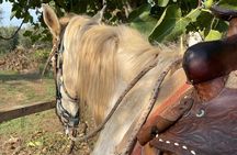 Horse riding excursion
