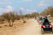 Hot spring and Atlas mountains quad biking tour