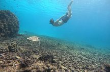 Snorkeling Trip To Daymaniyat Island