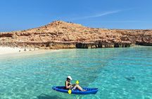 Snorkeling Trip To Daymaniyat Island