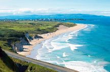 Afternoon Giant's Causeway Half Day Tour from Belfast