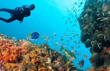 VIP Musandam Trip From Dubai