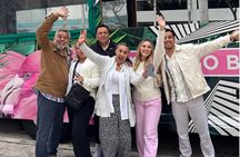 Miami Bus Tour - Flamingo Bus Miami Tours Open-Air Trolley