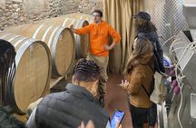 Tasting in a Tuscan Vineyard with transfer from Pisa 