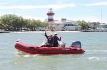 Hilton Head Guided Dolphin Watching & Sightseeing Tour via Mini Boat