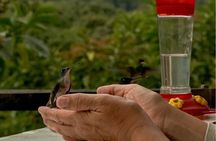 Middle of the World, Hummingbirds with Coffee Experience
