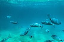Private Half-Day Boat Excursion in Pula