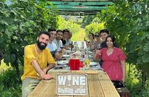 Tasting in a Tuscan Vineyard with transfer from Lucca