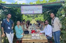 Tuscan Wine Tour in Lucca by van