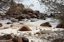 Velavan Whale, Dolphins Watching in Nilaveli