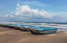 Velavan Whale, Dolphins Watching in Nilaveli