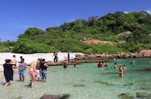Whale, Dolphins Watching Adventure in Nilaveli