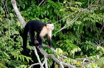 Adventure to Monkey Island from Colon Cruise Terminal