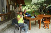 Middle of the World, Hummingbirds with Coffee Experience