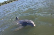 Hilton Head Morning Dolphins & Donuts Cruise