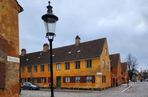 Highlights & Hidden Gems: Discover Old Copenhagen in two hours
