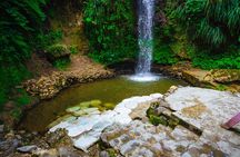 Private La Soufriere Drive-In Volcano Minibus Tour St Lucia