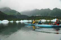 Bear Glacier Flight & Kayak Adventure Tour