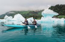 Bear Glacier Flight & Kayak Adventure Tour