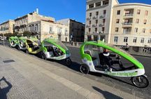 Velobike tour ecologico guidato con soste per visitare i monument