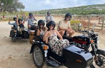Scenic Sidecar Vineyard Tour Paso Robles