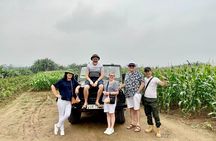 Vietnam Co Loa 4WD Tour Experience