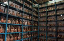 Full-Day Private Tour to Larco Museum and Lima Sightseeing
