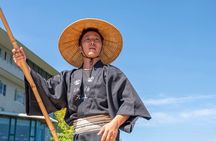 YokaBus A Day in Tea Fields Yame and Yanagawa River Boat
