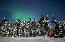 Northern Lights Holiday in Finland