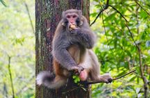 1-Day Private Tour to Tianmen Mountain & Furong Town Night Light