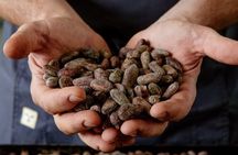 The Turin Chocolate Factory Guided Tour & Tasting