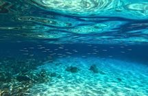 Cala Gonone Snorkeling in the Orosei Gulf