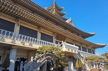 Seoul Pilgrimage Private Tour - Recognized by the Vatican