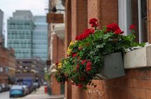 3 Hour Orientation Tour in Manchester
