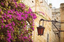 Knights of Malta Heritage Full Day Private Tour