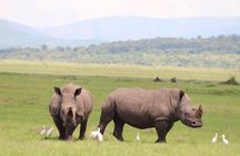 Akagera National Park Guided Day Pass
