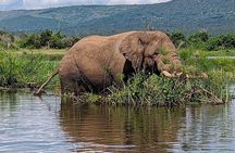Akagera National Park Guided Day Pass