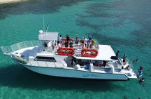 Theo Culebra Island Experience