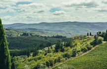 Chianti Wine Tour for Small Groups: Family Wineries & Lunch 