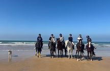 Horseback ride 1 hour between dunes beach and forest in Essaouira